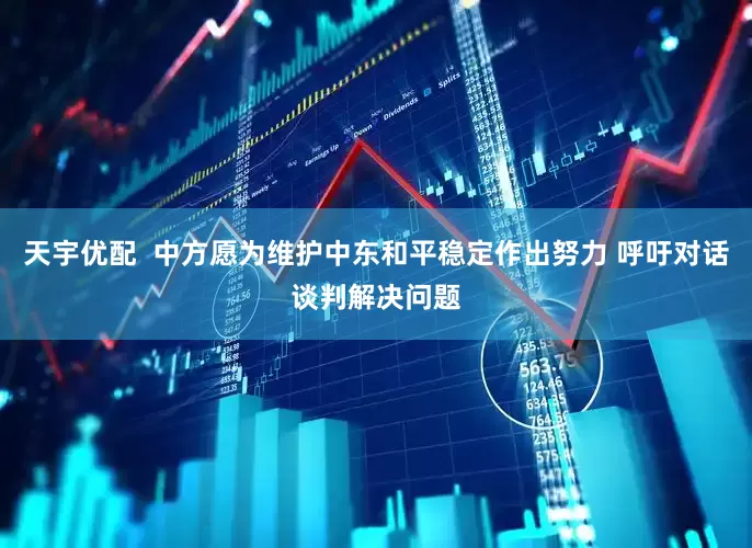天宇优配  中方愿为维护中东和平稳定作出努力 呼吁对话谈判解决问题