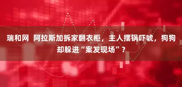 瑞和网  阿拉斯加拆家翻衣柜，主人摆锅吓唬，狗狗却躲进“案发现场”？