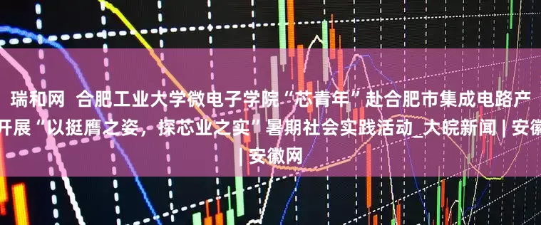瑞和网  合肥工业大学微电子学院“芯青年”赴合肥市集成电路产业开展“以挺膺之姿，探芯业之实”暑期社会实践活动_大皖新闻 | 安徽网